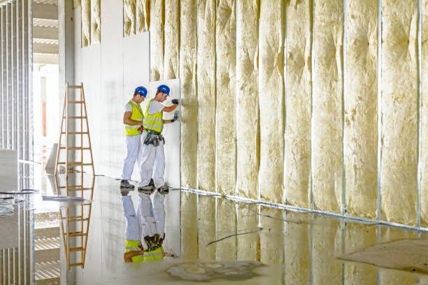 Best Fireproof Insulation  in Wabasha, MN